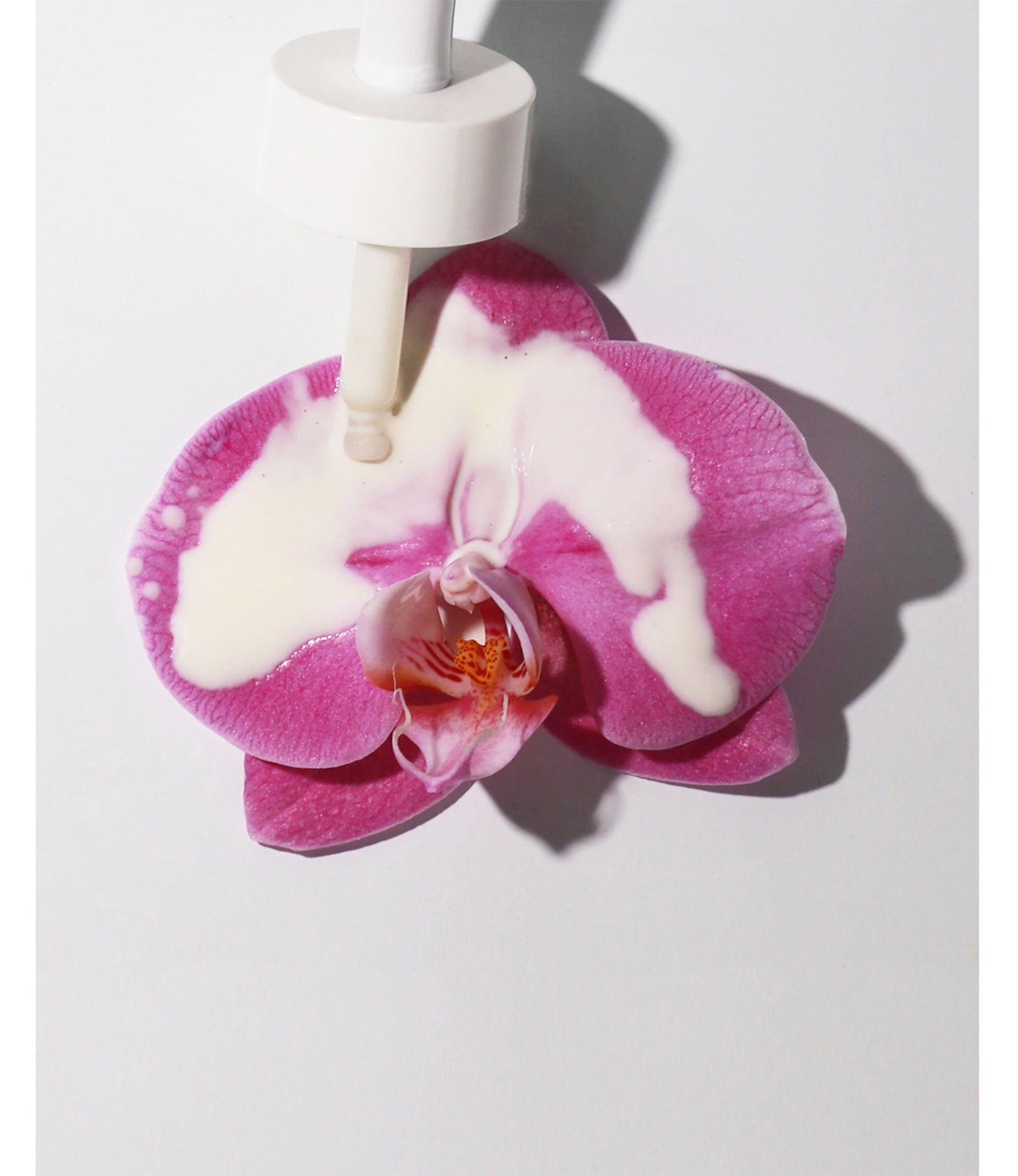 2400-FLOWERWITHDROPPER4_1600x.